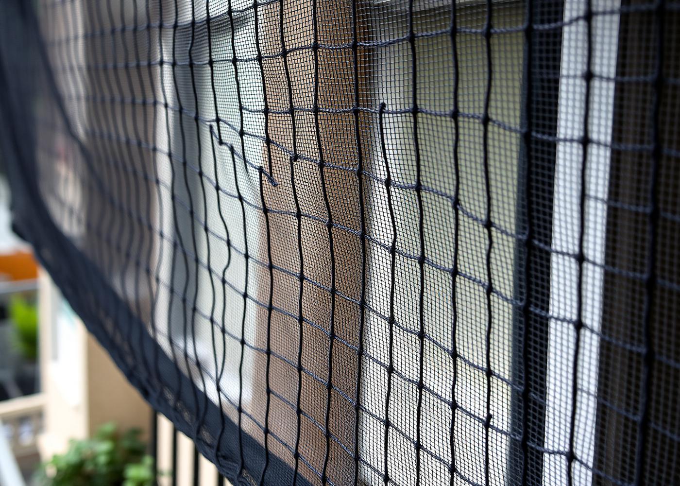 Neatly installed anti bird net on a balcony in Gurugram